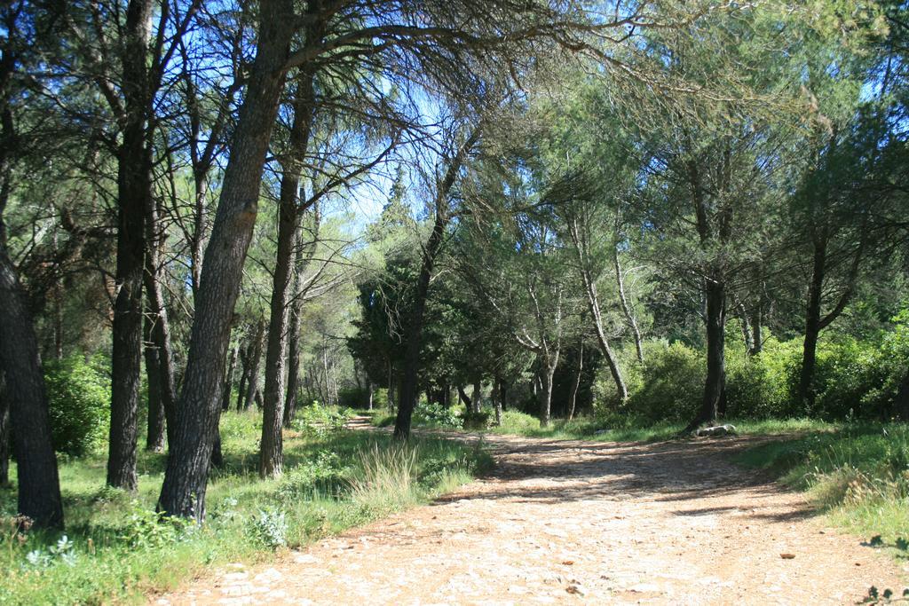 Chambres D'Hotes Le Puid De Gauthier Saturargues Dış mekan fotoğraf